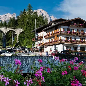 Hotel Meuble Neve ***
